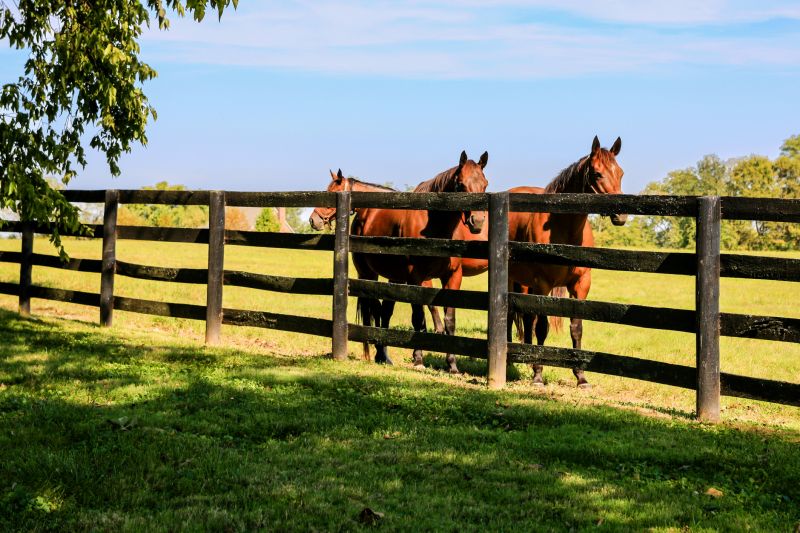 Local Ranch Fence Construction pros at work