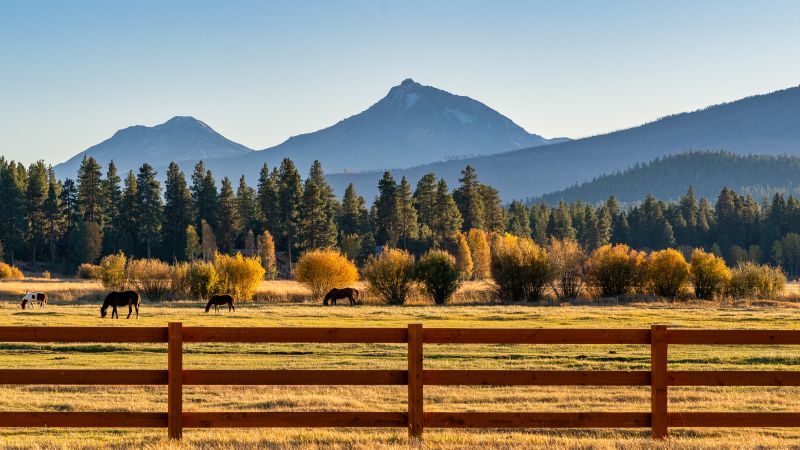 Ranch Fence Construction detail